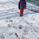 phoca_thumb_m_andlci 12 Fotogalerie